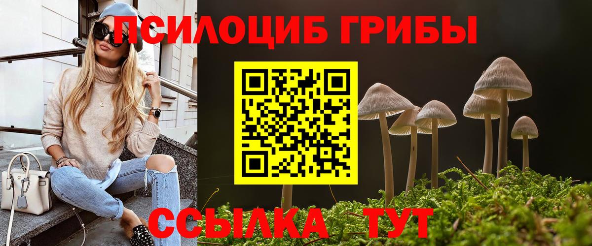Псилоцибиновые грибы прущие грибы Нарткала