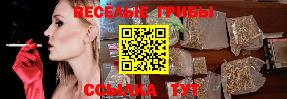 Псилоцибиновые грибы прущие грибы  Вход с VPN  Нарткала 